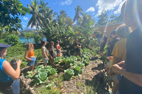 Volunteers out in the field learning about planting crops